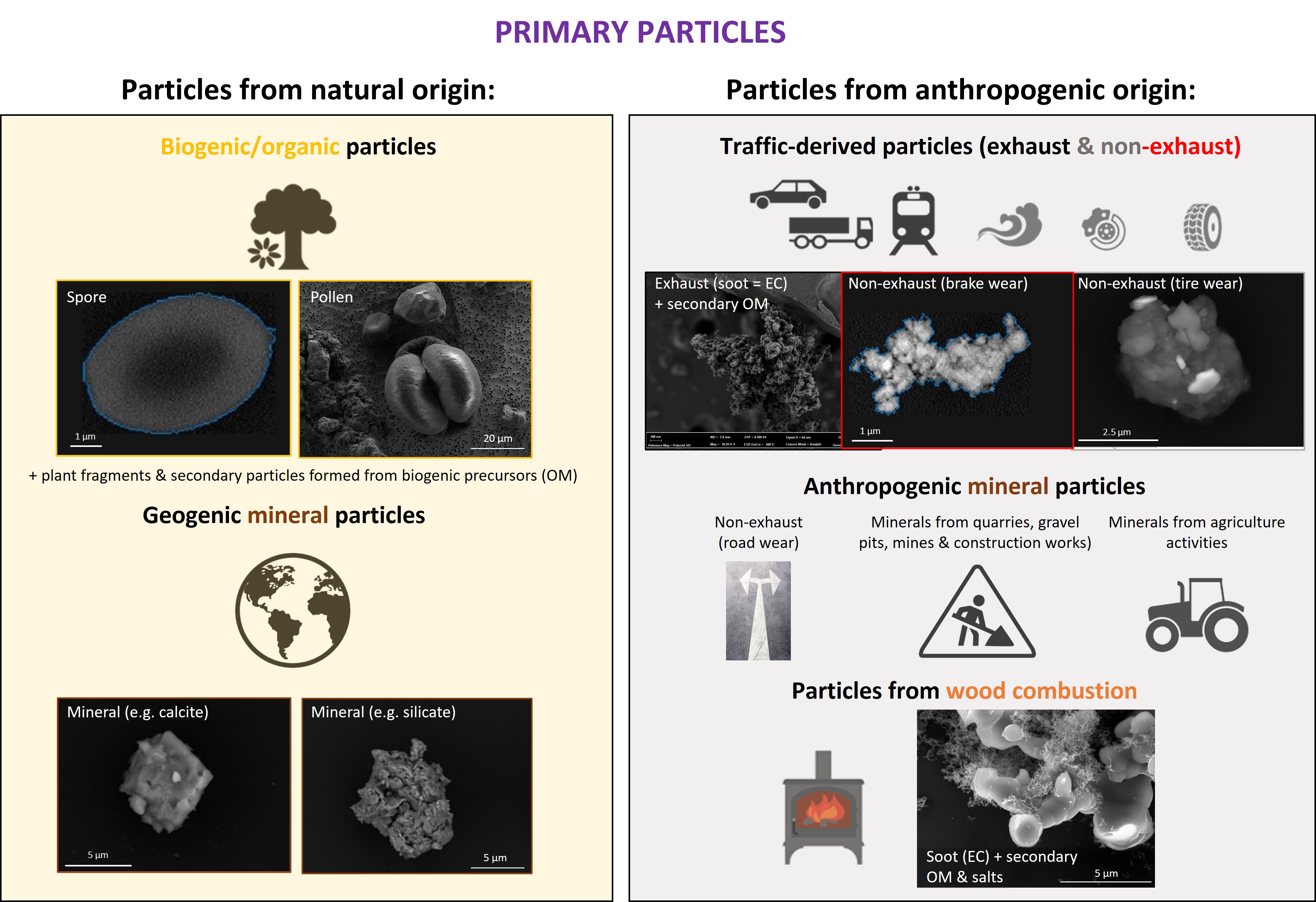 particle-vision-gmbh-what-are-pm10-and-pm2-5-composed-of